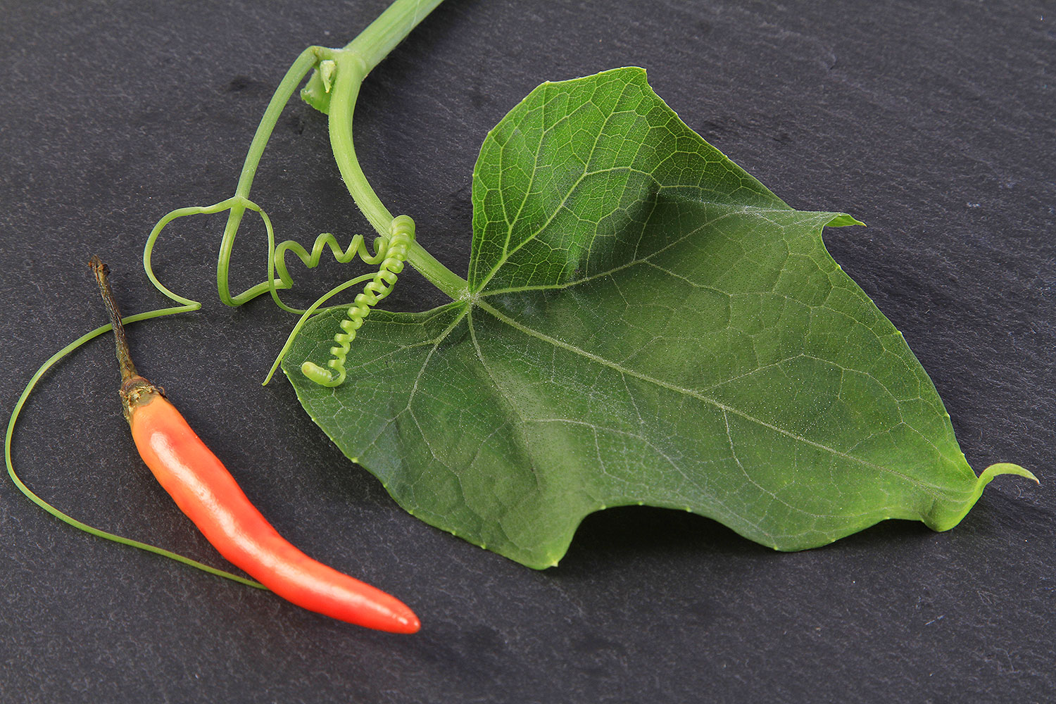 Design culinaire et art de la table - Milasio