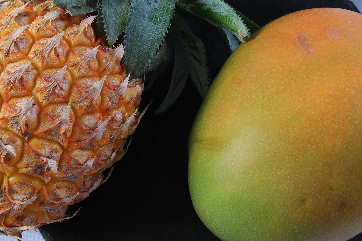 Packshot produit agroalimentaire pro - Milasio